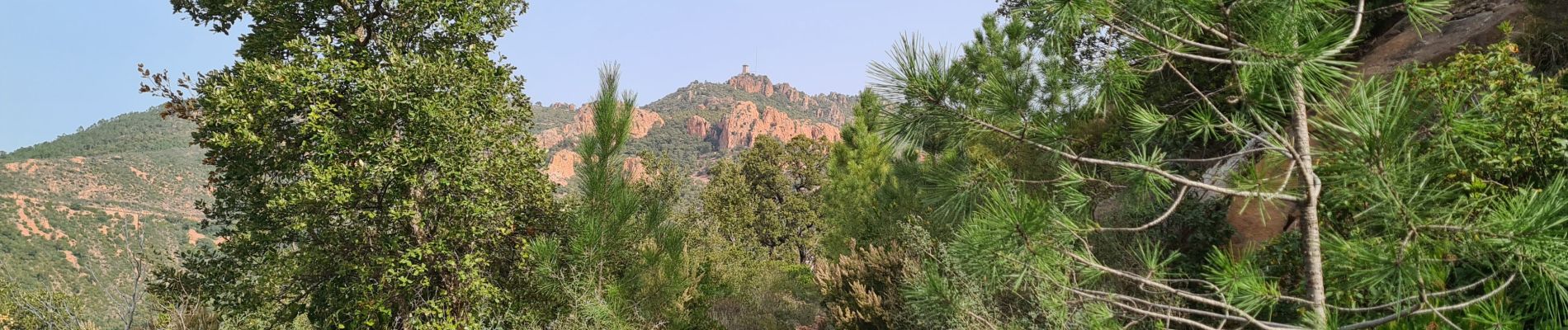 Trail Walking Fréjus - Malpey par la piste des Malavettes depuis Colle Douce - Photo