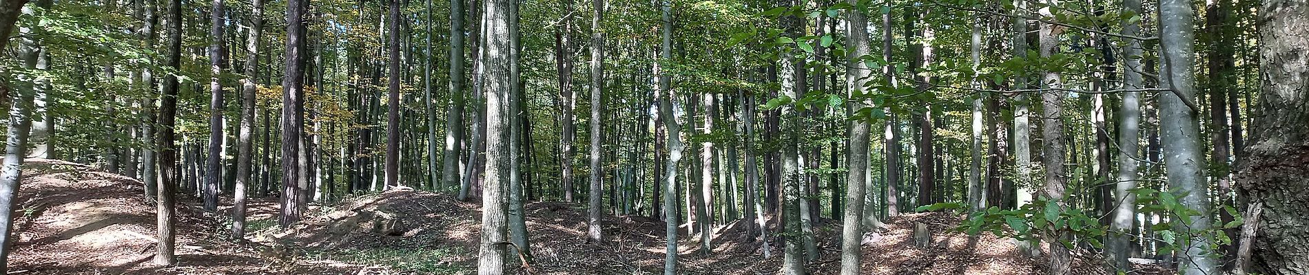 Randonnée A pied Tieschen - Hügelgräberweg - Photo