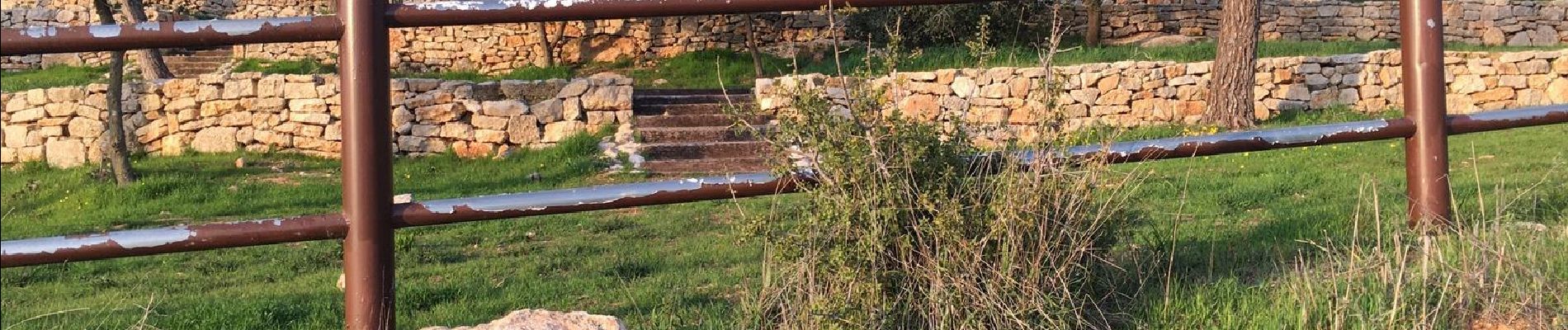 Tour Zu Fuß Regionalverwaltung Mateh Jehuda - נחל מערה - Photo