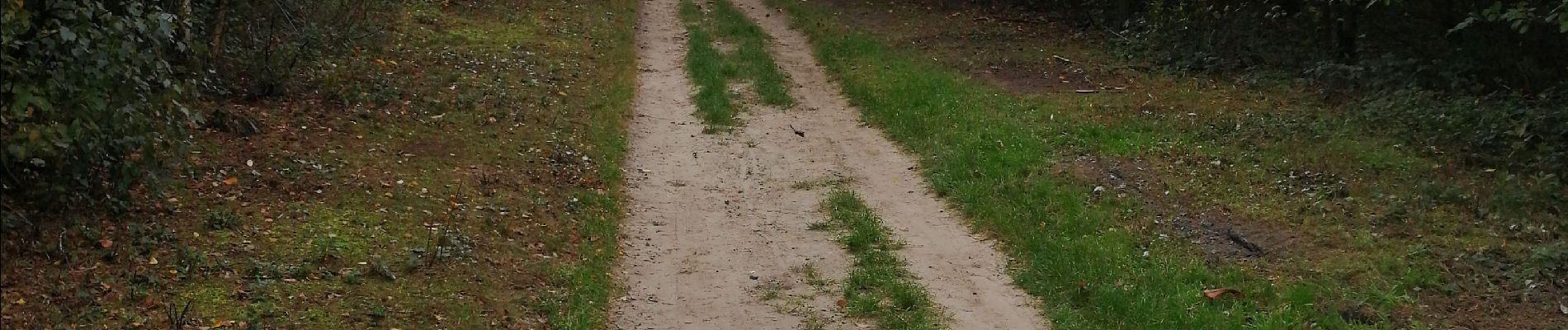 Randonnée Marche Court-Saint-Étienne - Promenade à La Roche et petit aller-retour vers le ruisseau - Photo