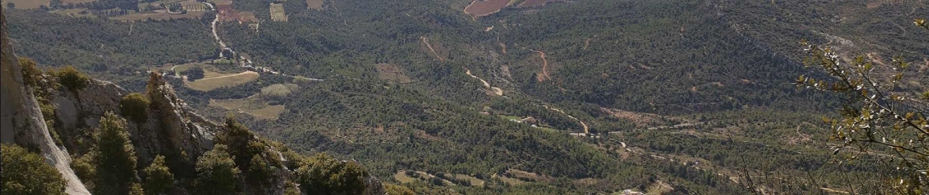 Tour Wandern Puyloubier - Puyloubier - Hermitage de St. Ser- Col de Vauvenarguse - Pic des mouches - Puyloubier - Photo