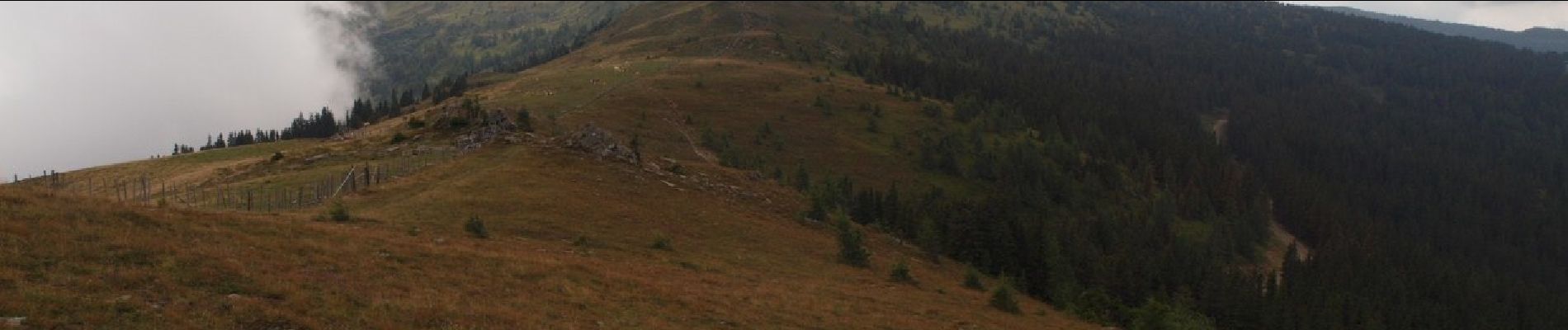 Randonnée A pied Hüttenberg - Geierkogelrunde - Photo