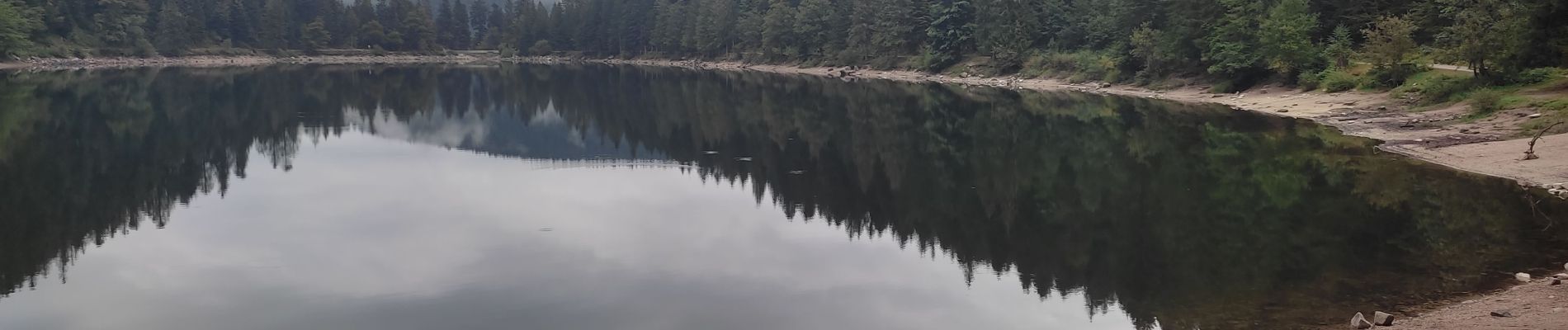 Excursión Senderismo La Bresse - Lac du Corbeau  - Photo