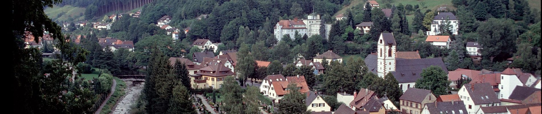 Tour Zu Fuß Wolfach - Wolfach - Salzlecke - Photo