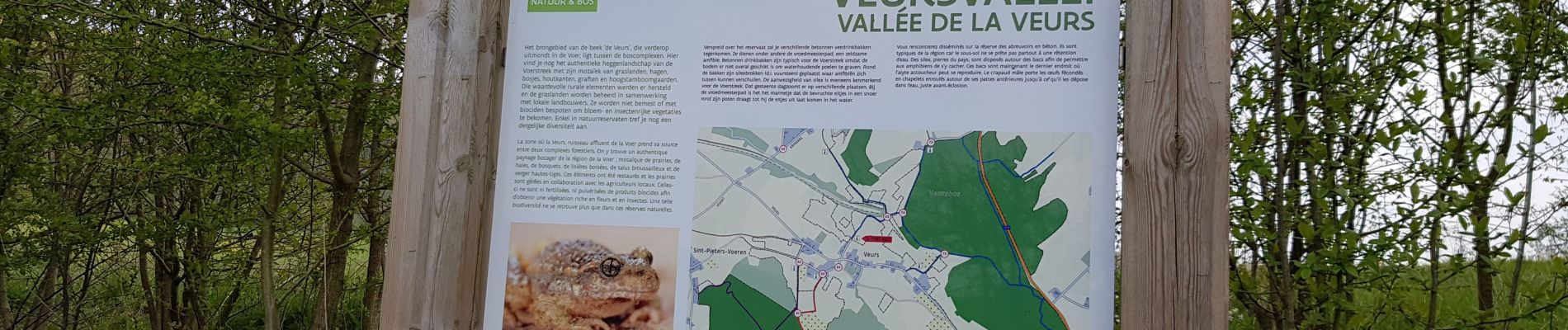 Trail Walking Voeren - Ulvend (Fourons-St-Martin)  - Photo
