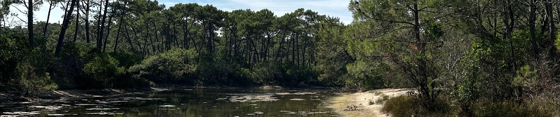 Trail  Lège-Cap-Ferret - Réserve naturelle de piraillan - Photo