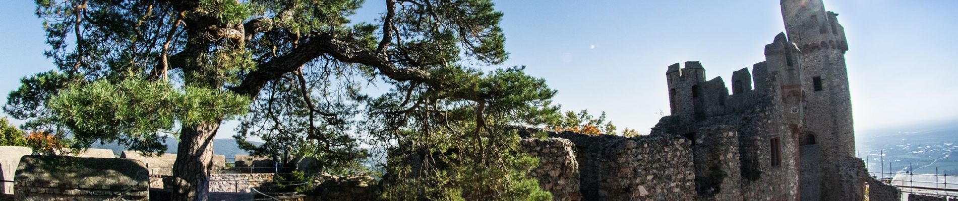 Tour Zu Fuß Bensheim - Franziskanischer Pilgerweg Bensheim - Photo