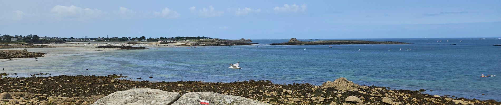 Tocht Stappen Guissény - 2024 RA Finistère Guissény - Korejou - Photo