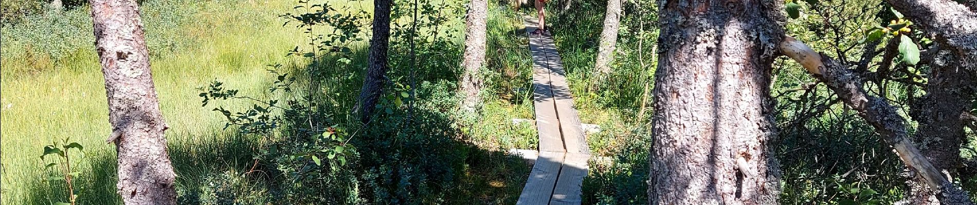 Trail Walking Chapelle-des-Bois - Le tour du lac des mortes. - Photo