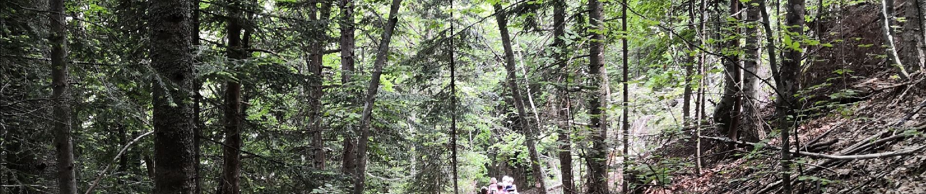 Percorso Marcia Gresse-en-Vercors - gresse deux soeurs - Photo