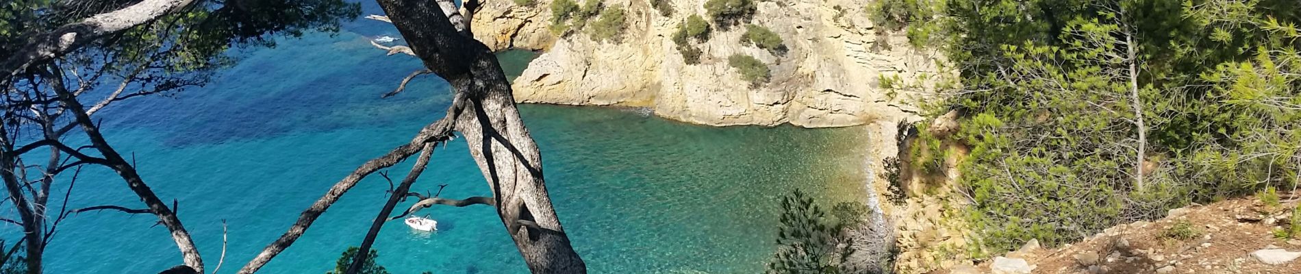 Randonnée Marche Bandol - bandol calanque D'Alon - Photo