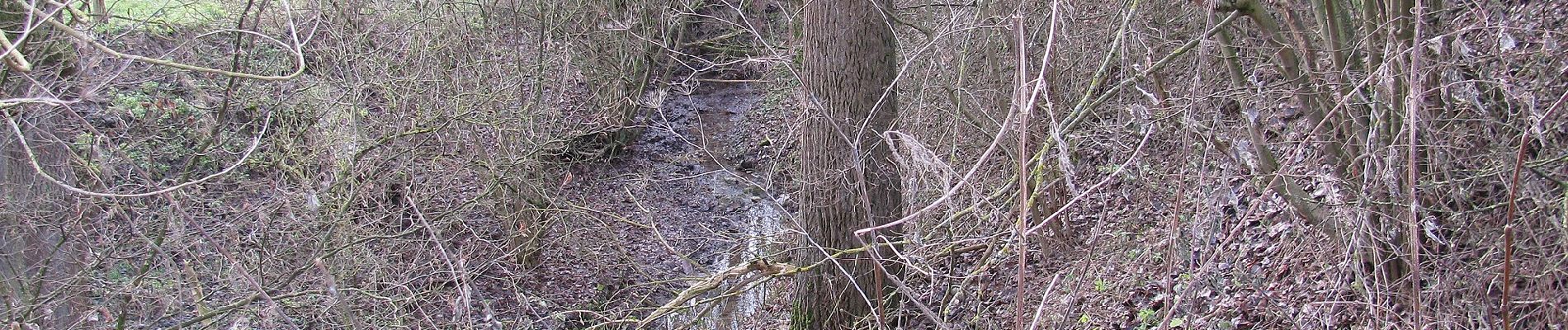 Tocht Te voet Fuldatal - Eco-Pfad Simmershausen - Photo