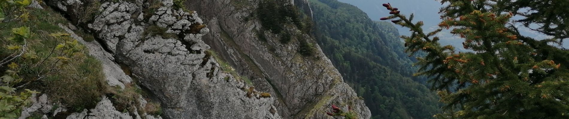 Tocht Stappen Autrans-Méaudre en Vercors - bec d'orient 2020 - Photo