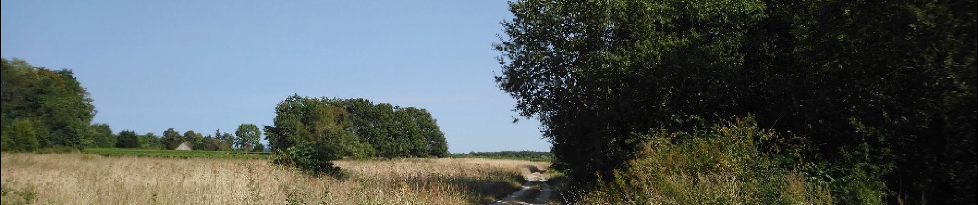 Excursión Senderismo Montlouis-sur-Loire - Montlouis-sur-Loire - Lussault-sur-Loire - 2016 08 14 - 12.5km 2h30mn - Photo
