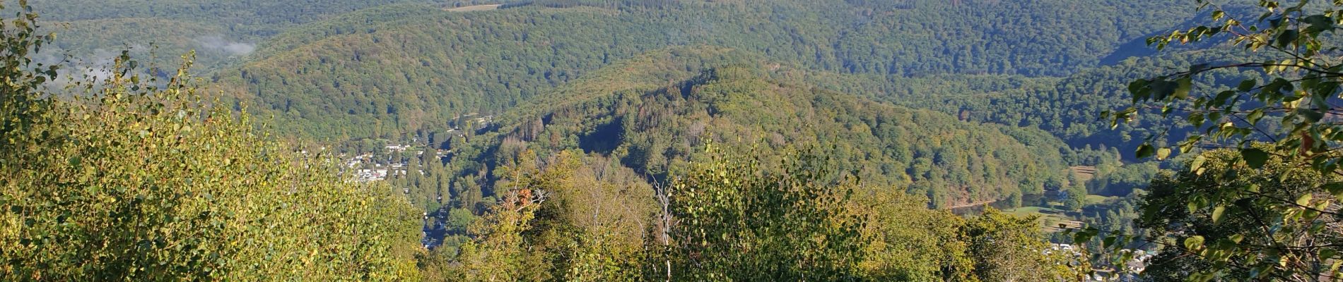 Tour Wandern Vresse-sur-Semois - Promenade du point de vue des 8 Semois - Photo