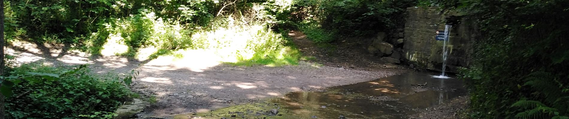 Tocht Stappen Seraing - boncelles, château de plaineveaux +village  - Photo