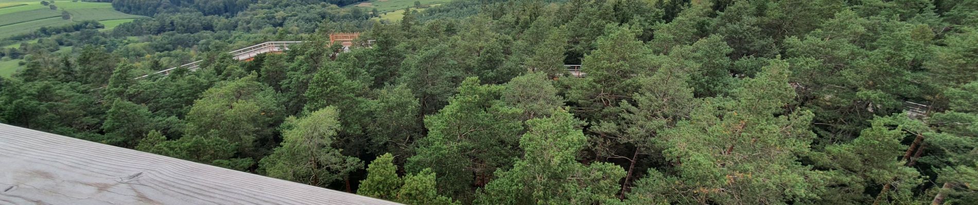 Trail Walking Drachenbronn-Birlenbach - chemin des cimes, drachenbronn - Photo