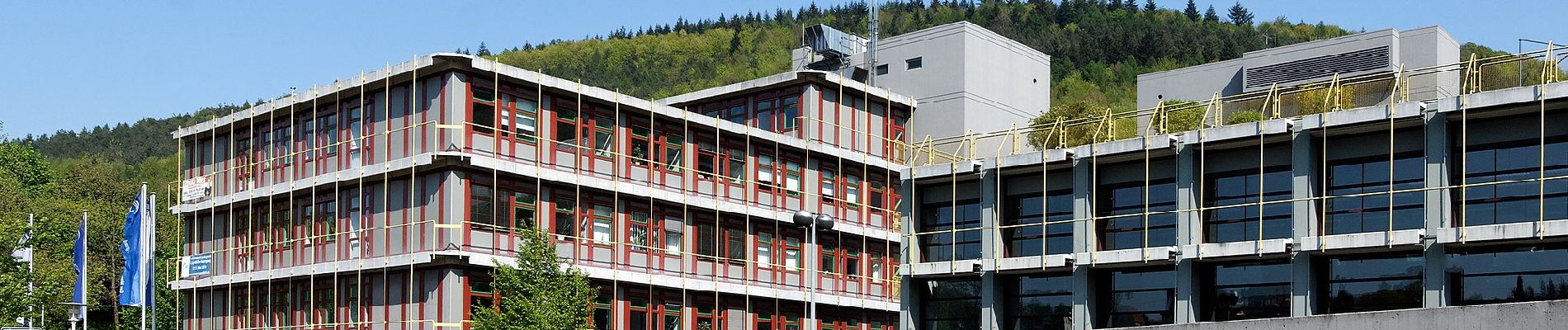 Randonnée A pied Wiesenbach - Rundwanderweg Drei-Hasen-Hütte 3: Nonnenbrunnen-Weg - Photo