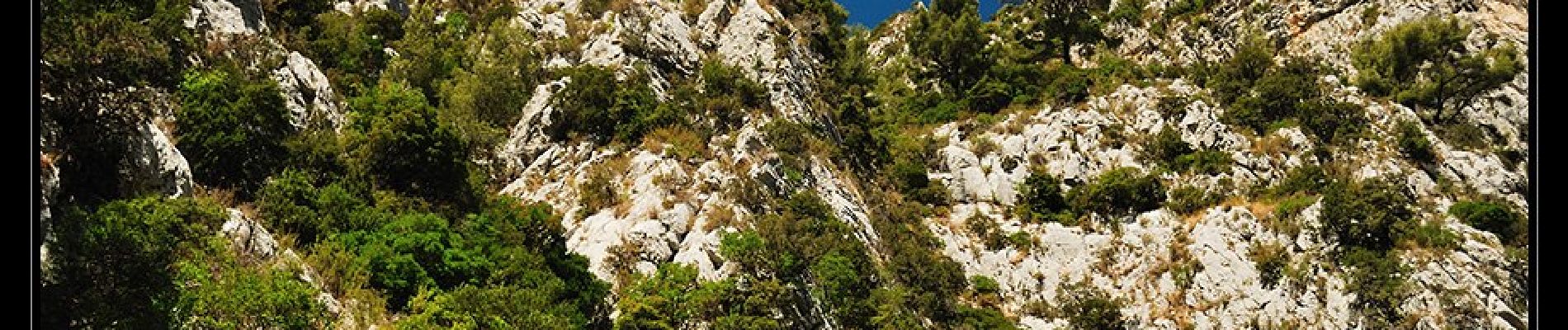 Percorso A piedi Évenos - Du Revest à Ollioules - Photo