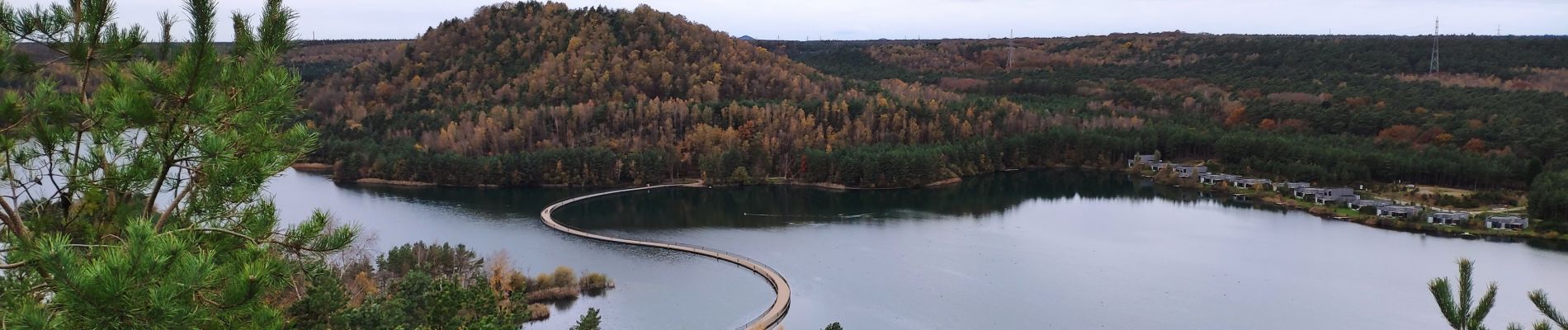 Excursión Bici de montaña Maasmechelen - Sortie vélo le midi - Photo