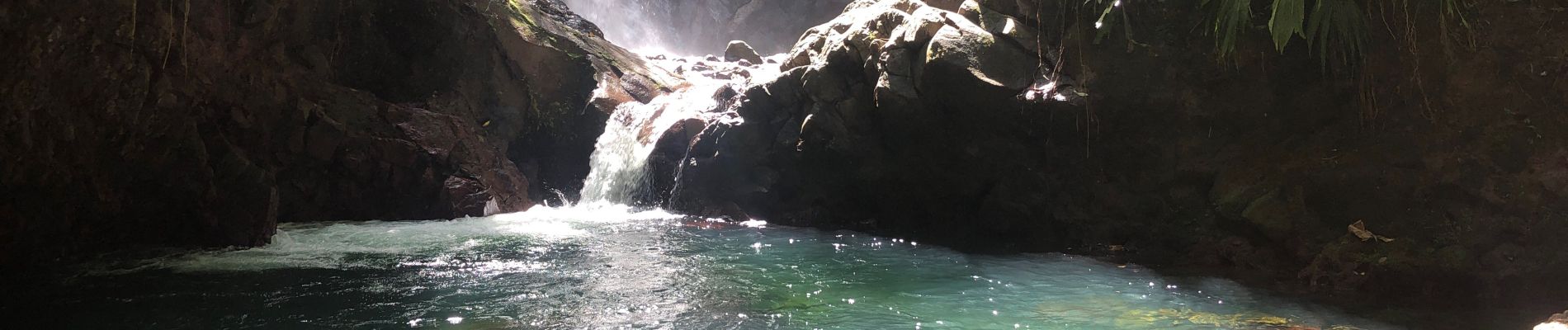 Excursión Senderismo Bouillante - Cascade bois malasé - Photo