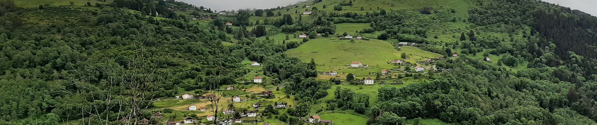 Trail Walking La Bresse - la bresse 20240617 - Photo