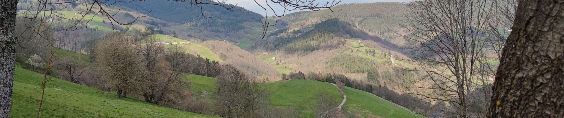 Percorso Mountainbike Fréland - Voirimont Barlin Chamont - Photo