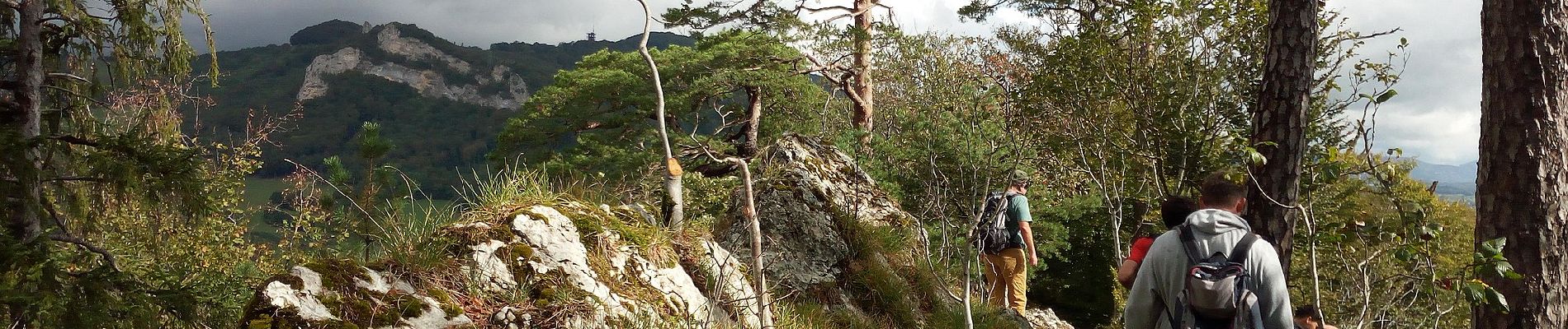 Excursión A pie Wangen bei Olten - Olten - Rumpelweid - Photo