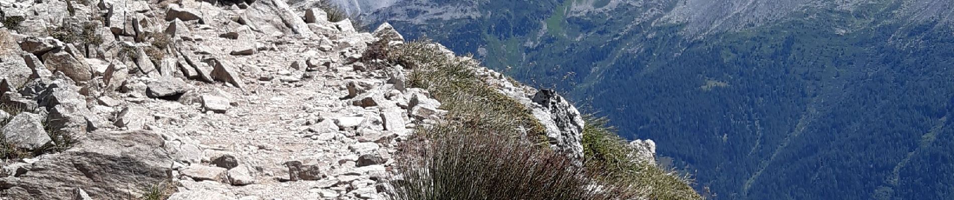 Randonnée Marche Chamonix-Mont-Blanc - brevent aiguilkettes - Photo