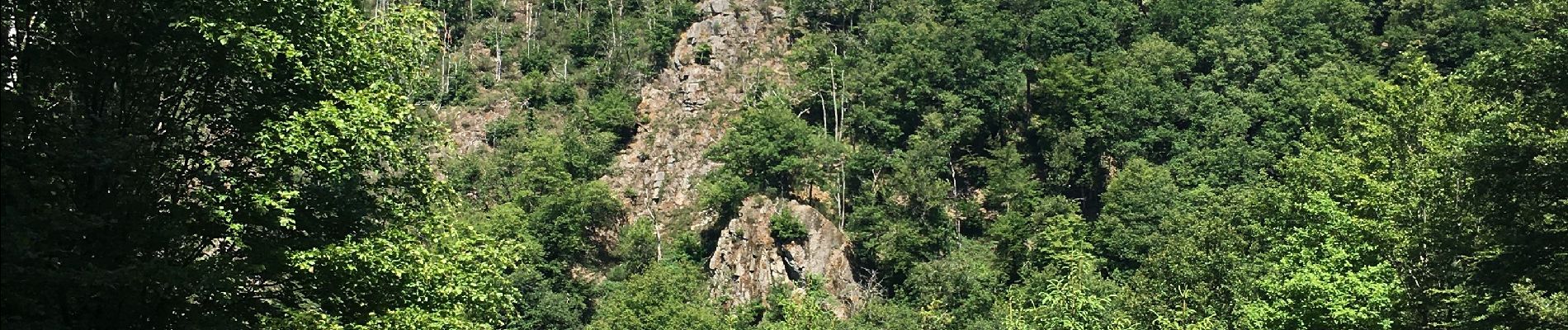 Tour Wandern La Roche-en-Ardenne - Barrage nasradin  - Photo