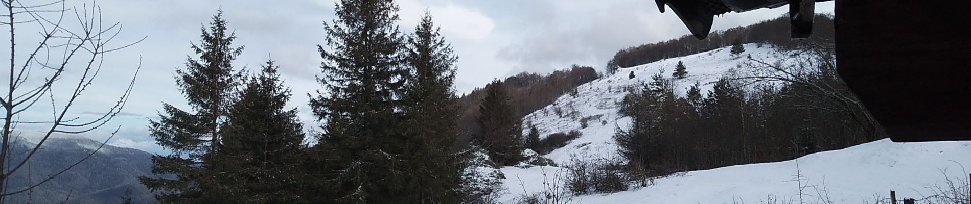Tour Schneeschuhwandern Sewen - SewenWissgrutFennmatt - Photo