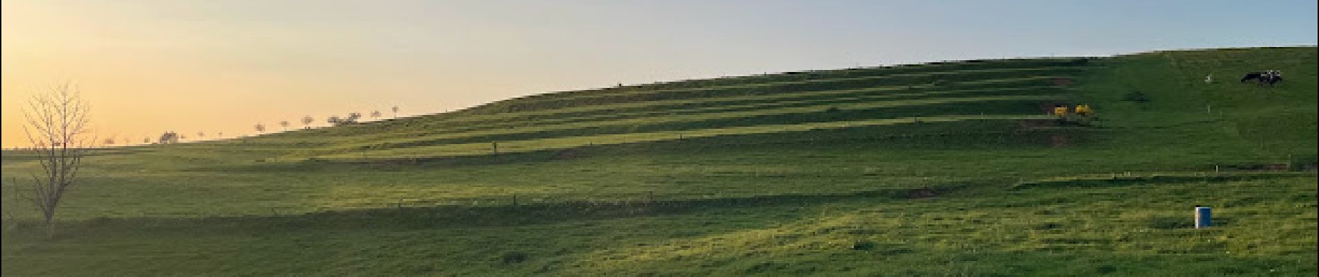 Tour Nordic Walking Zillig - Marche dans l'après-midi - Photo