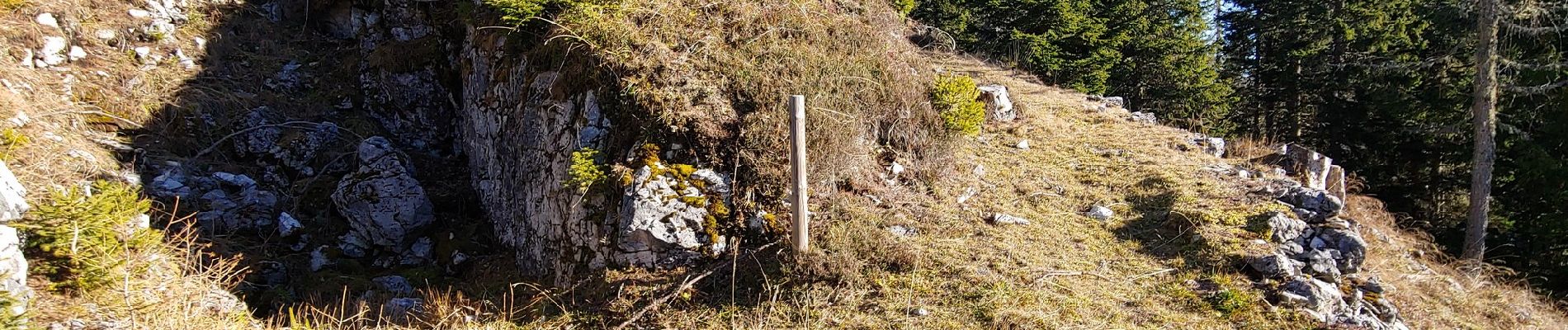 Randonnée A pied Lozzo di Cadore - Anello dei Forti - Photo