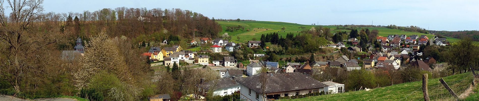 Randonnée A pied Schönborn - Küppeltour - Photo