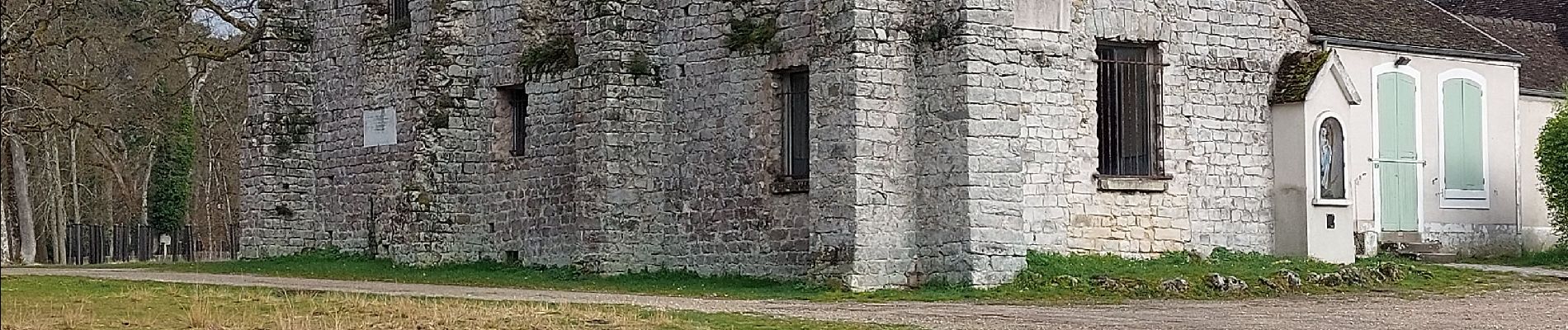 Tocht Stappen Fontainebleau - Franchard et l'arboretum  - Photo