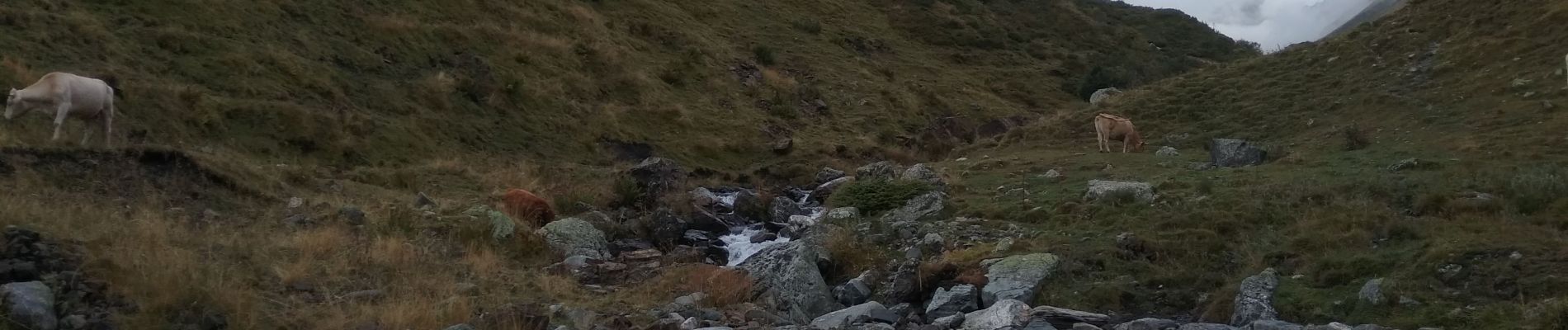 Tour Wandern Gavarnie-Gèdre - Gavarnie Luz Saint sauveur - Photo