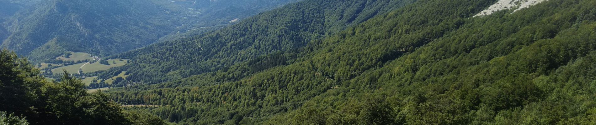 Trail Walking Château-Bernard - pas de la Balme - Photo