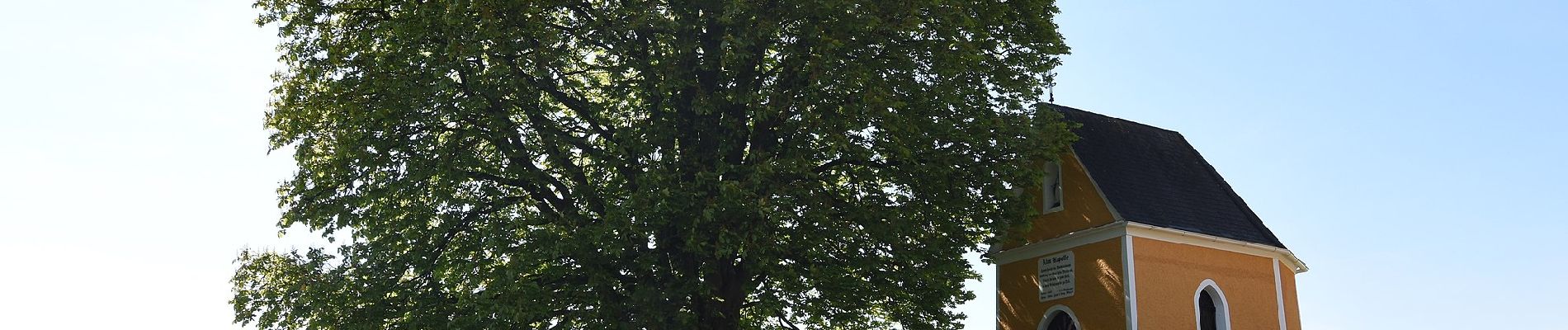 Tour Zu Fuß Feldbach - Himmel Erden Weg - Photo