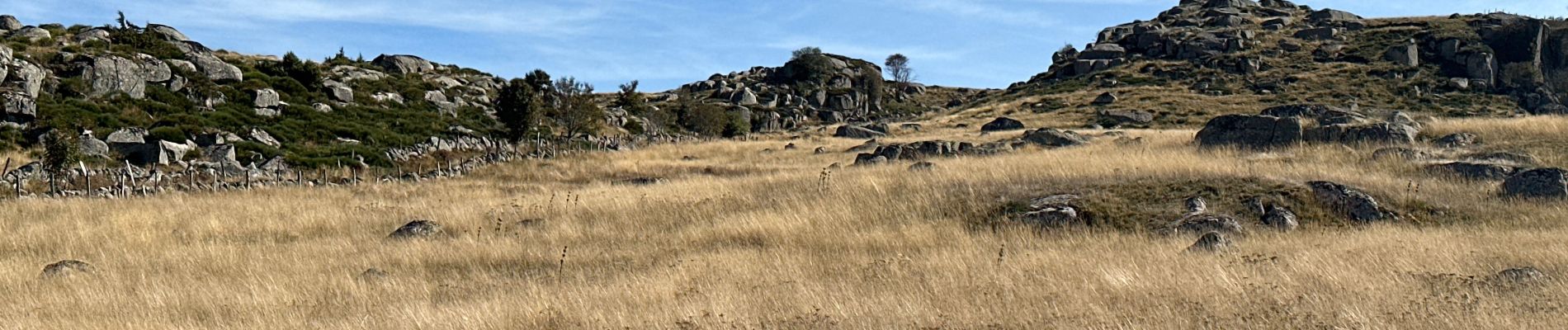 Tour  Peyre en Aubrac - Nasbinals jour 5 - Photo