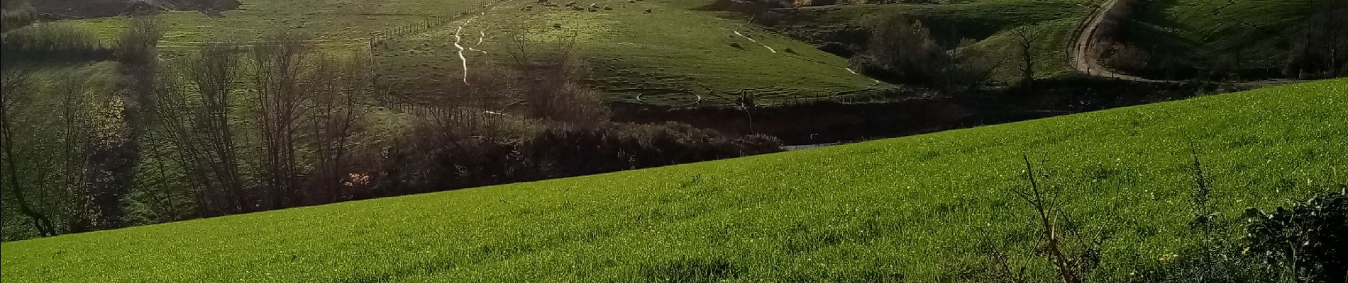 Tour Wandern Vaugneray - boucle autour de Vaugneray  - Photo