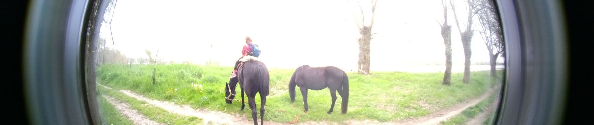 Trail Horseback riding Savigny-en-Véron - 3749 - Photo