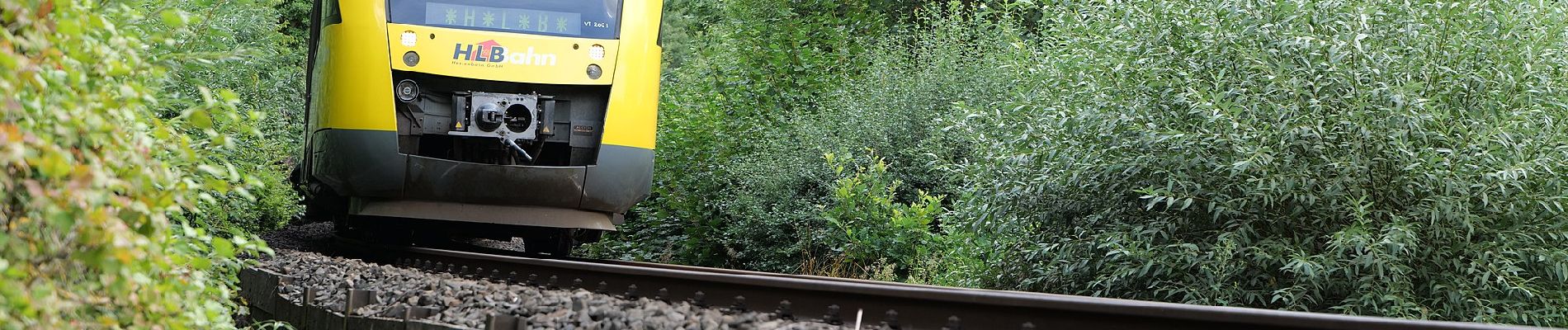 Tour Zu Fuß Kelkheim - Rund um den Rettershof: Weg 8 - Photo