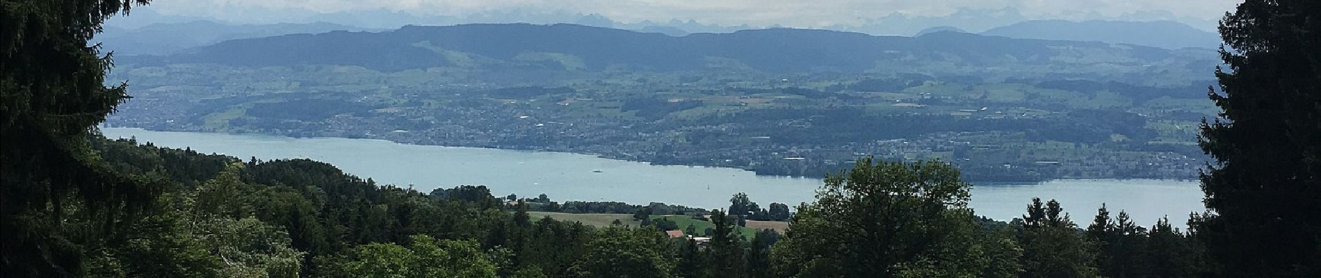 Tour Zu Fuß Meilen - Meilen - Toggwil - Photo