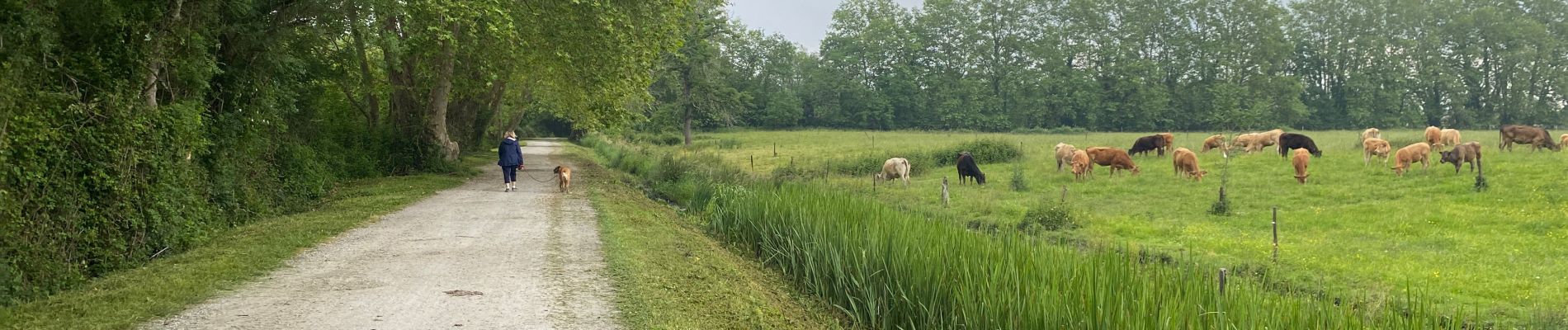 Trail Walking Dax - 2023-05-24 TOUR COMPLET DU BOID DE BOULOGNE  - Photo