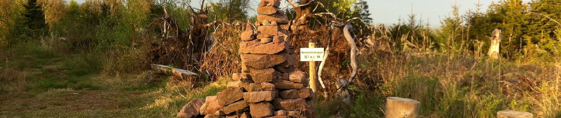 Percorso A piedi Haurain - Blauer Pilz Rundwanderweg, Bayerische Schanz - Photo