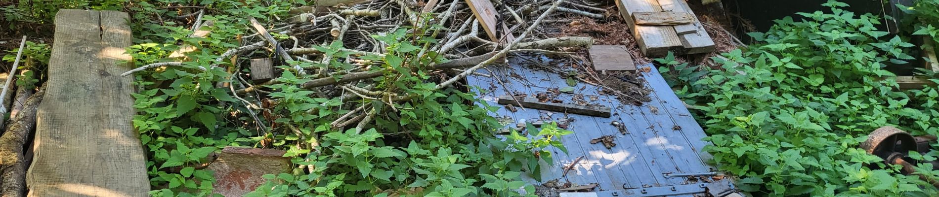 Trail Walking Les Martys - partage forges - Photo