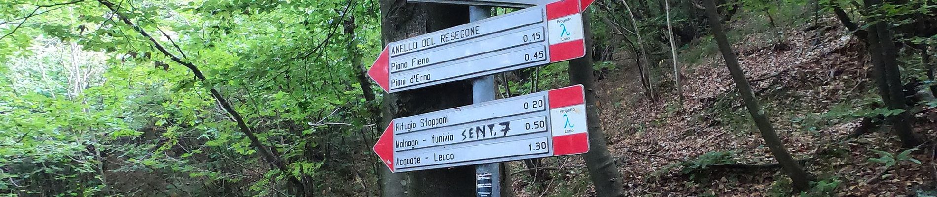 Tocht Te voet Lecco - Sentiero 1: Malnago - Rifugio Azzoni - Photo