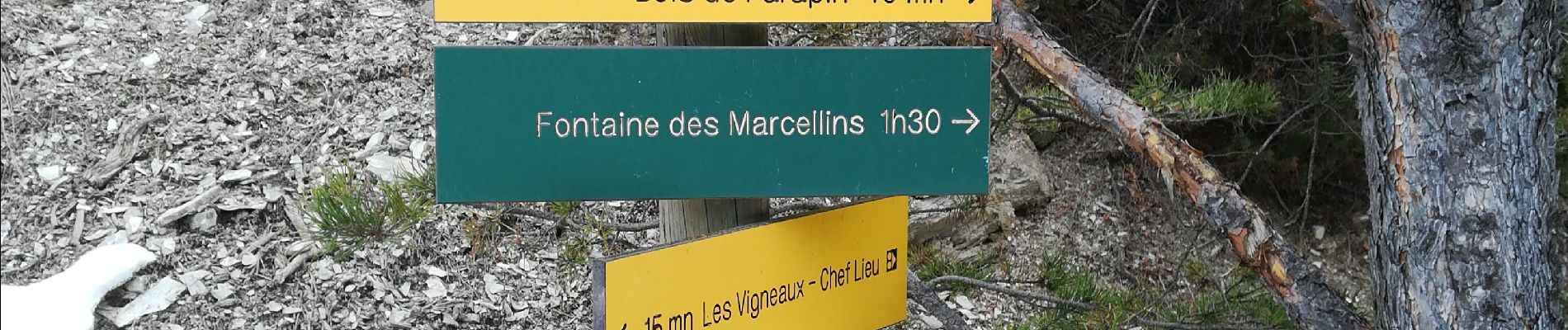 Randonnée Marche Les Vigneaux - Marc Risoul  - Photo