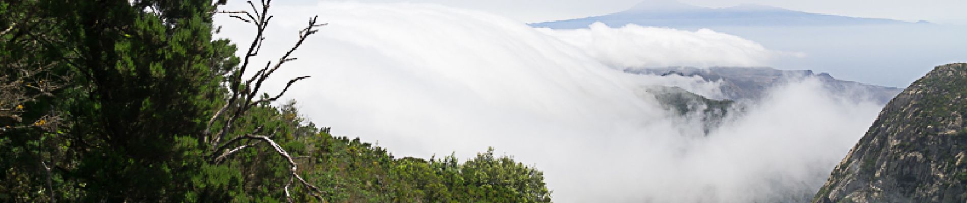 Tocht Stappen San Sebastián de la Gomera - La Laja Saint Sébastien de la Gomera - Photo