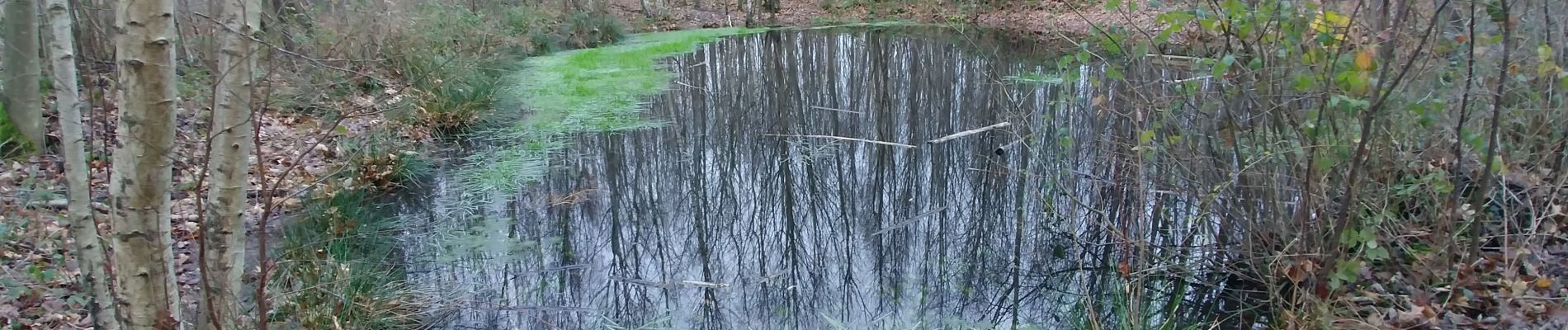 Tour Wandern Elbeuf - rando Elbeuf-sur-Seine 